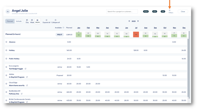 Resource planning of a resource for scheduled absence, holidays, and projects