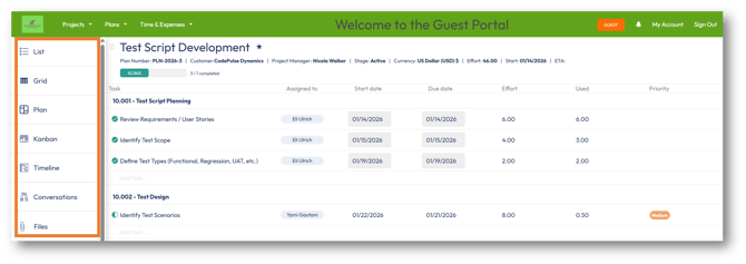 Hide the Team tab in the Plan.