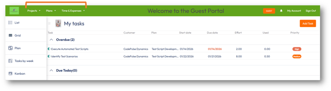 Guest access with financial information permissions