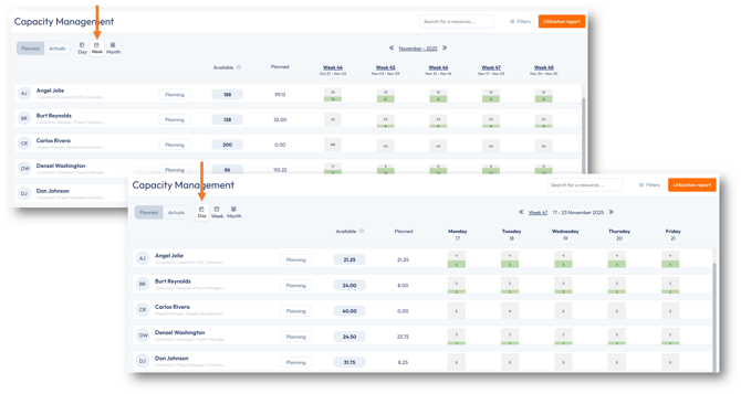 Capacity Management's Week and Day views